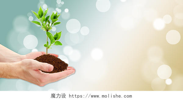 世界环境日绿色简约312植树节种树手捧树苗指数间展板背景